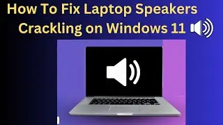 How To Fix Laptop Speakers Crackling on Windows 11