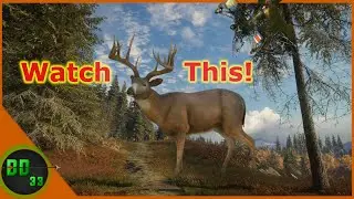 How To Bow Hunt Monster Whitetail Bucks! Call Of The Wild