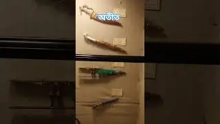 এগুলো ব্যবহার করা হয়েছে কখনো অত্যা*চার রুখতে আবার কখনো...#shorts #viral #raiyans_zone