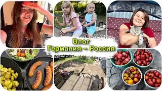 София узнала правду , море слёз 😢 вкусный ужин из детства / обустройство сада началось