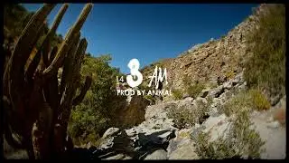 Julianno Sosa - 3AM (Visualizer Oficial)