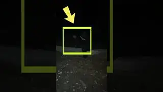 😱СНЯЛ РЕАЛЬНОГО МУТАНТА НОЧЬЮ В ЧЕРНОБЫЛЕ❗️