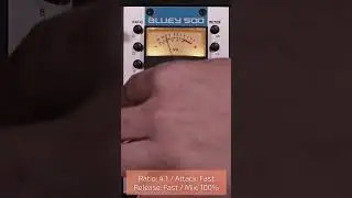 Bluey 500 Audio Demo: Hip Hop Vocals #shorts