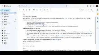 Etsy is rude - suspended my shop for no apparent reason or explanation