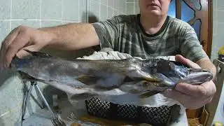 Щука сухим посолом.
