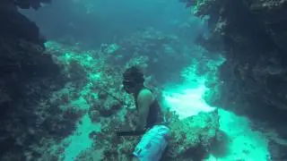 Spearfishing in oracabessa