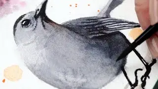 Watercolor Backyard Birds Grey Catbird Easy Painting Tutorial