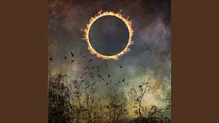 Out of the sun