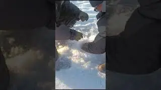 Щука в феврале 2024- азарт и эмоции
