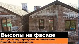 Efflorescence on facades. How to remove it. Methods for preventing it. Detailed instructions.
