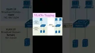 vlan tagging 