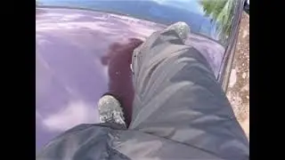 trampling car rain pants