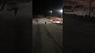 Аня пуля