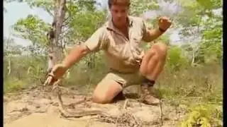 Steve Irwin - Crocodile Hunter - Die schwarze Mamba (1/4)