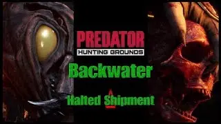Predator Hunting Grounds Backwater Halted Shipment