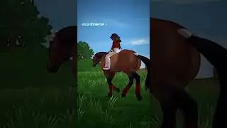 sso tiktok time🐴💖