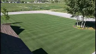it's a live video