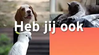 Kom met je huisdier naar Tom&Co Aalst op maandag 26 maart