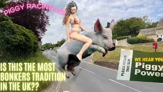 Mad Pig Racing in the British Countryside with Paddy / Piggy Power Bookies