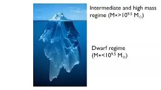 The morphological mix of dwarf galaxies in the nearby Universe – Ilin Lazar