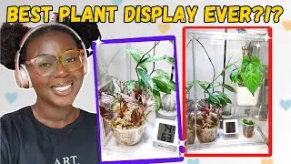 The Best Plant Display Yet!🥰🥰 | Acrylic Plant Display Case from Plantlifelex✨💕