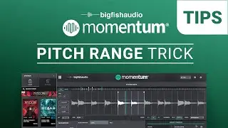 Pitch Range Trick | Momentum Tips