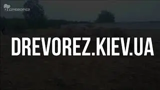 Покос травы и бурьяна на участке