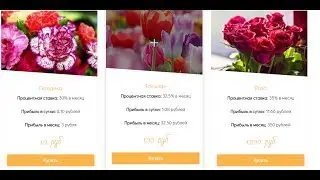 ЦВЕТОЧНЫЙ БИЗНЕС 2 ЭКОНОМИЧЕСКАЯ ИГРА ОБЗОР LUCKY FLORIST 2.0