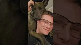 This Belgian Malinois mix is the sweetest baby there is 🥰