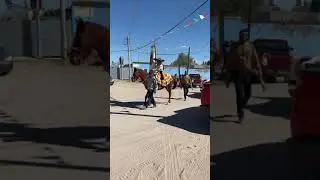 Desde tapias de Santa Cruz 🇲🇽♥️