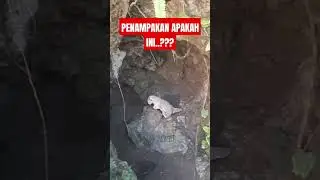 TERLIHAT JELAS PENAMPAKAN HEWAN PURBA DI MULUT GOA TASIKMALAYA #shorts