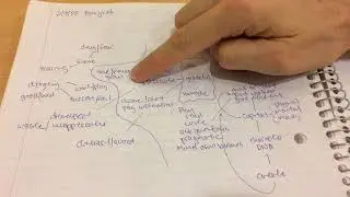 202003 Thailand Notes