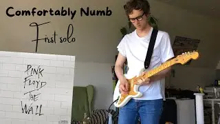 Pink Floyd - Comfortably Numb Guitar Solo