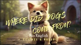 English Speaking Practice | Where did dogs come from | BBC Learning English | Science and Nature ESL