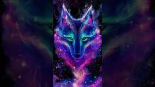 Tear O Gold - Faouzia | Wolf Illumination | NeXt Chapter