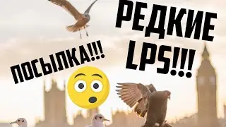LPS: приехала ПОСЫЛКА с ПЕТАМИ от ПОДПИСЧИЦЫ, РЕДКИЕ LPS!!!