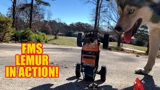 FMS 1/24 Scale Lemur in Action!