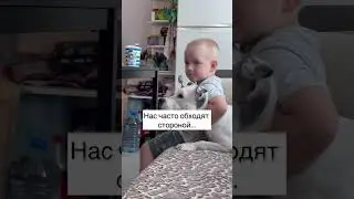 От Тэффи отказались из-за её глухоты и её породы, сказали, что она опасная. Слов нет. 
