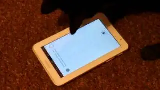 Lexie catching virtual bugs