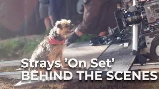 Strays (2023) Behind the Scenes 'On Set'