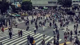 street time lapse : freestock footage