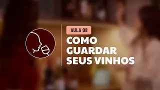 Aula 8 - Como Guardar Seus Vinhos