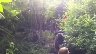 Wanderung von Rui Vaz zum Botanischen Garten in Orgãos