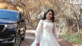 DIYOR STUDIO REKLAMA Wedding Day BERUNIY