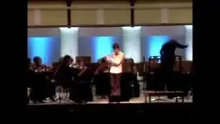 Попп В. Венгерская фантазия