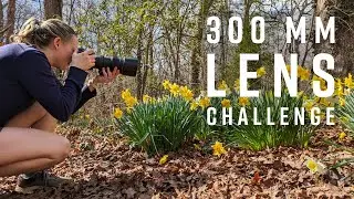 300mm Prime Lens - A Nature Photography Challenge with the Nikon 300 f/4E PF ED Lens