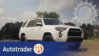 Car Color Test: Are Black Cars Really Hotter In The Sun? | Autotrader