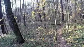 Кросскантри на велосипеде в Лыткарино