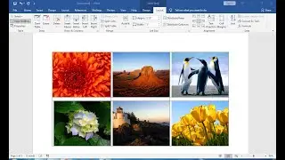 how to insert picture in word document into word Table same size