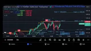 daily trading chart with signals